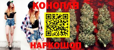 стафф Будённовск