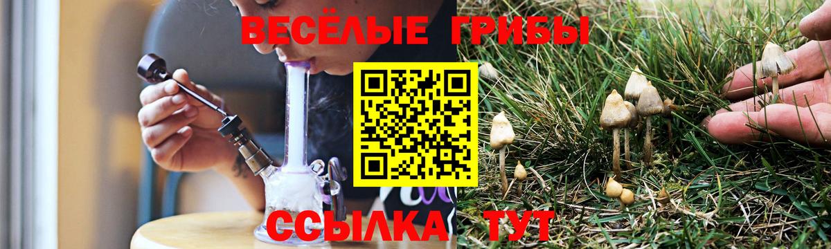 Псилоцибиновые грибы Psilocybine cubensis  Псилоцибиновые грибы Psilocybine cubensis  Октябрьский  Вход с VPN 